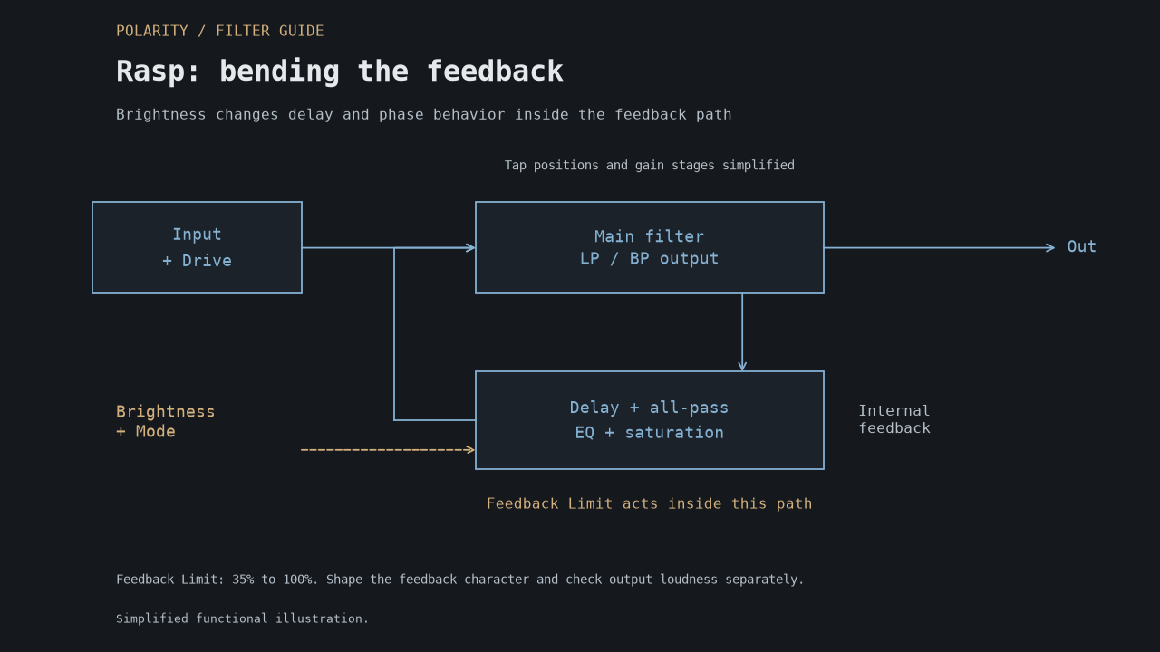 Simplified Rasp component showing a low-pass or band-pass main filter and feedback containing delay, all-pass processing, EQ and saturation, associated with Brightness.
